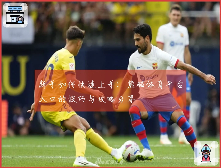 新手如何快速上手：熊猫体育平台入口的技巧与攻略分享