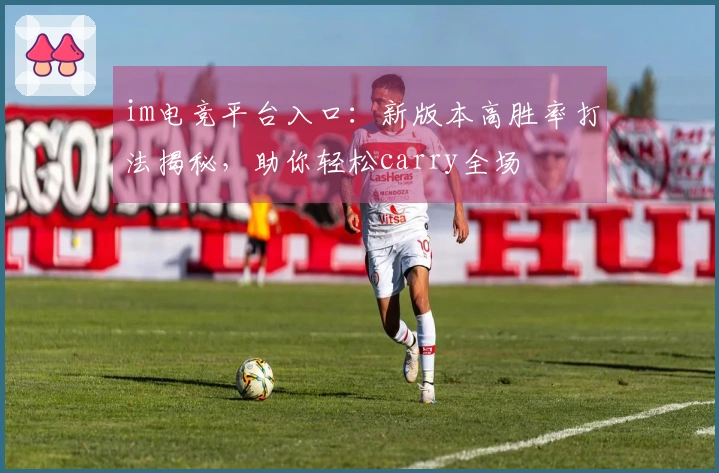 im电竞平台入口：新版本高胜率打法揭秘，助你轻松carry全场