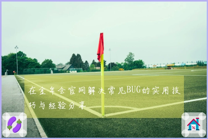 在金年会官网解决常见BUG的实用技巧与经验分享