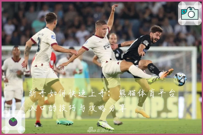 新手如何快速上手：熊猫体育平台入口的技巧与攻略分享