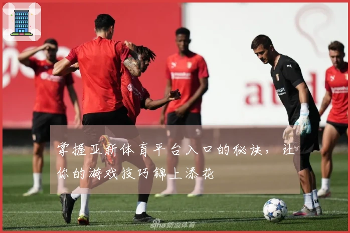 掌握亚新体育平台入口的秘诀，让你的游戏技巧锦上添花